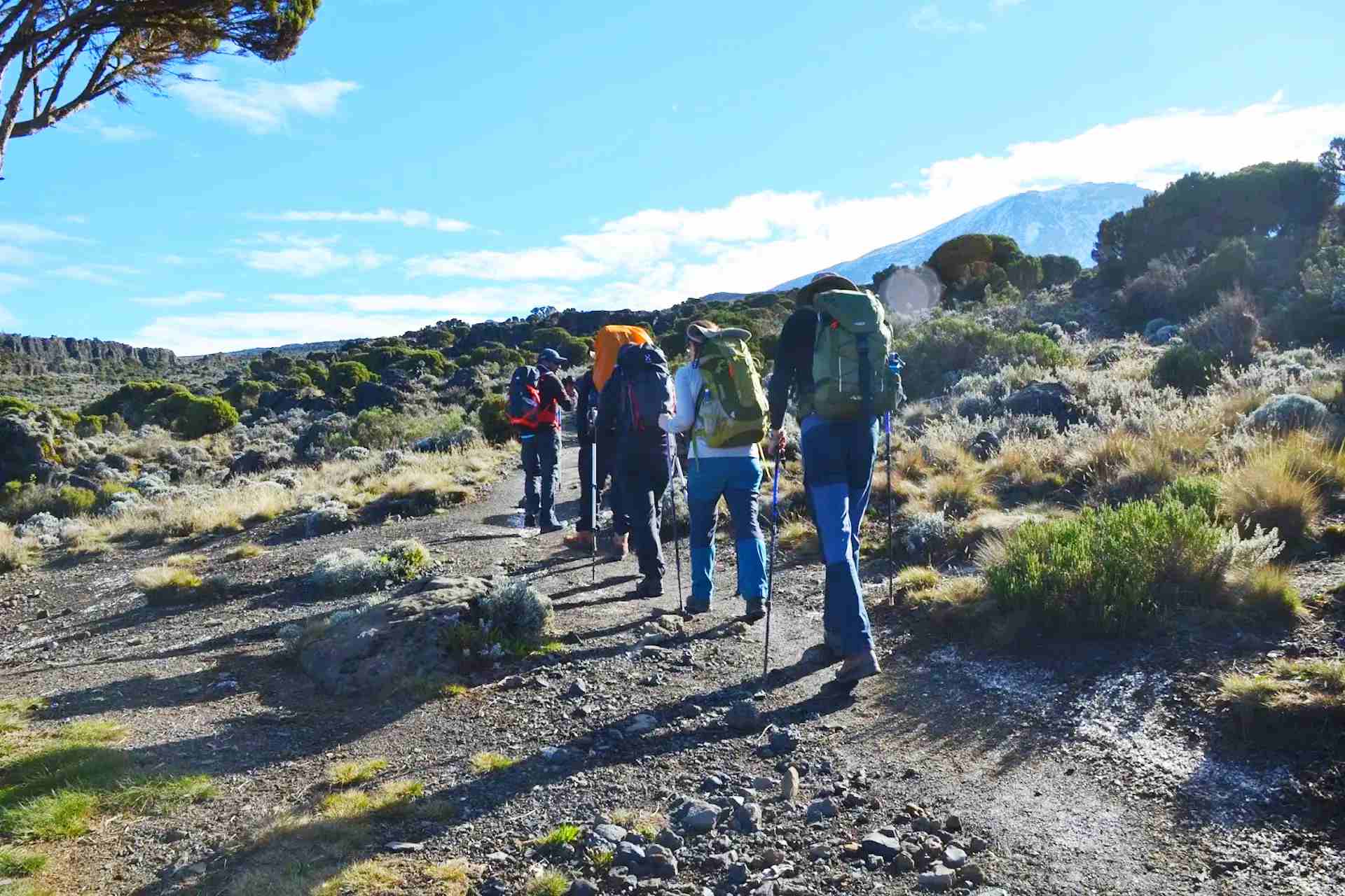 Kilimanjaro shira plateau climb